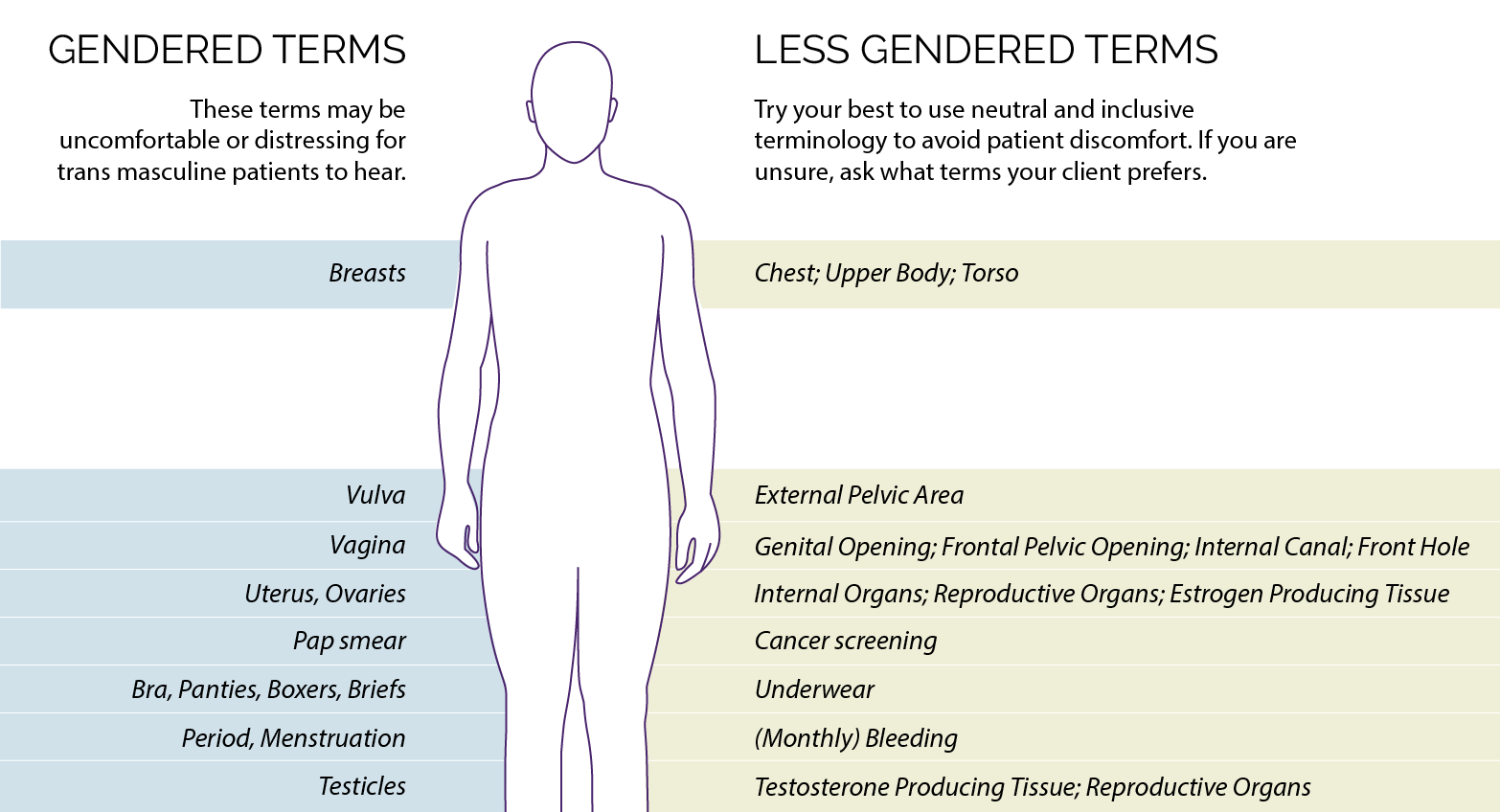 Illustrated diagram that explains what gendered terms to avoid when speaking with transmasculine patients (e.g. vulva, vagina, uterus, ovaries, pap smear, bra, panties, period, menstruation). Recommended, less-gendered terms are: e.g., chest, external pelvic area, genital opening, frontal pelvic opening, internal canal, internal organs, cancer screening, underwear, bleeding.