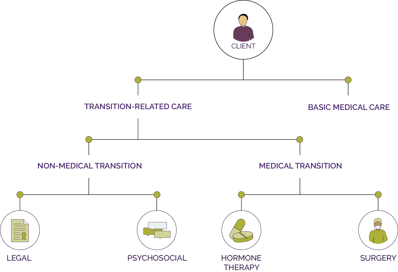 Tree diagram of the different health care needs of trans patients including bascic versus transition-related health care needs, medical (e.g. hormone therapy and surgery or non-medical i.e. legal and psychosocial transitioning).