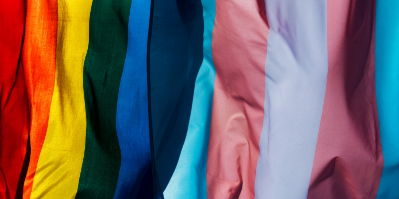 2SLGBTQ+ Foundations Course | Rainbow Health Ontario