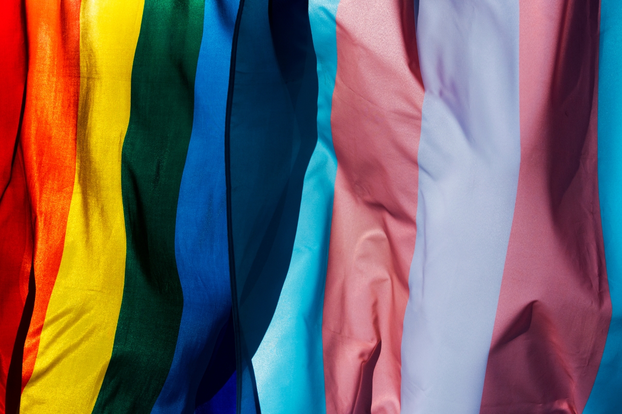 Removing the Barriers: Making Your Organization 2SLGBTQ Friendly | Online Course | Rainbow Health Ontario